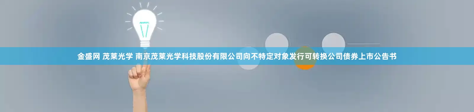 金盛网 茂莱光学 南京茂莱光学科技股份有限公司向不特定对象发行可转换公司债券上市公告书